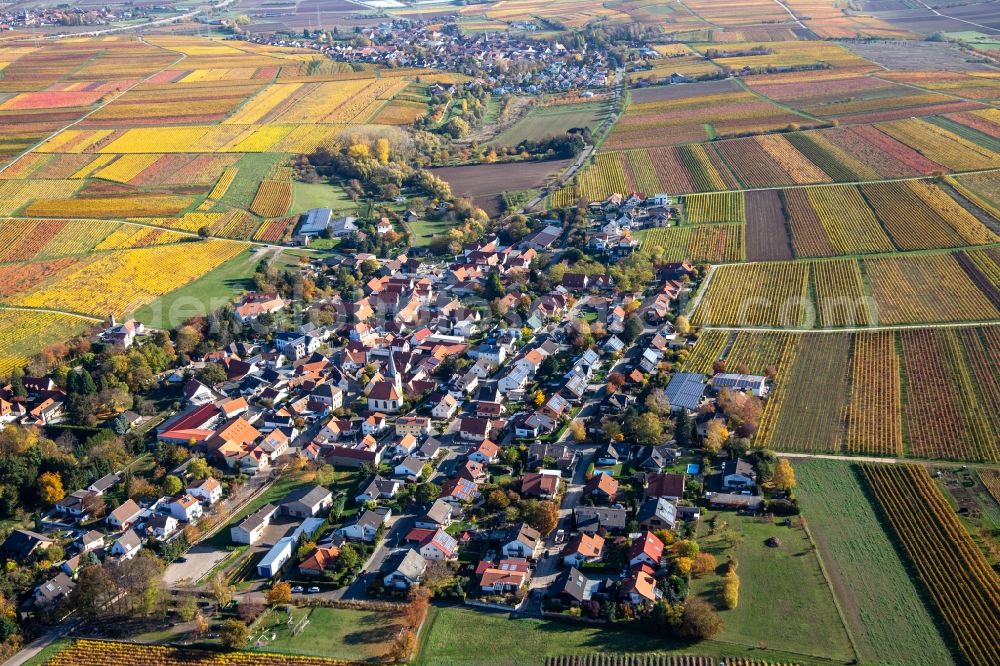 Aerial image Bissersheim - Autumnal discolored vegetation view agricultural land and field borders surround the settlement area of the village in Bissersheim in the state Rhineland-Palatinate, Germany