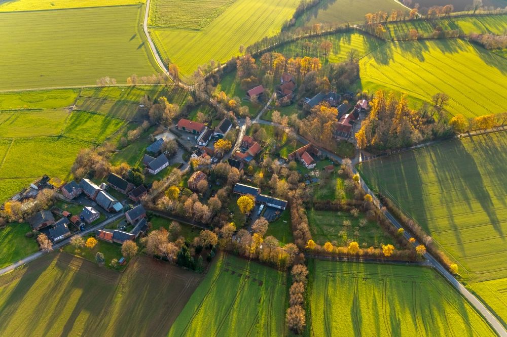 Aerial image Eineckerholsen - Autumnal discolored vegetation view agricultural land and field boundaries surround the settlement area of the village in Eineckerholsen in the state North Rhine-Westphalia, Germany
