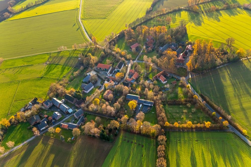 Aerial photograph Eineckerholsen - Autumnal discolored vegetation view agricultural land and field boundaries surround the settlement area of the village in Eineckerholsen in the state North Rhine-Westphalia, Germany