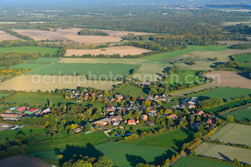 Aerial image Groß Pampau - Autumnal discolored vegetation view agricultural land and field boundaries surround the settlement area of the village in Gross Pampau in the state Schleswig-Holstein, Germany