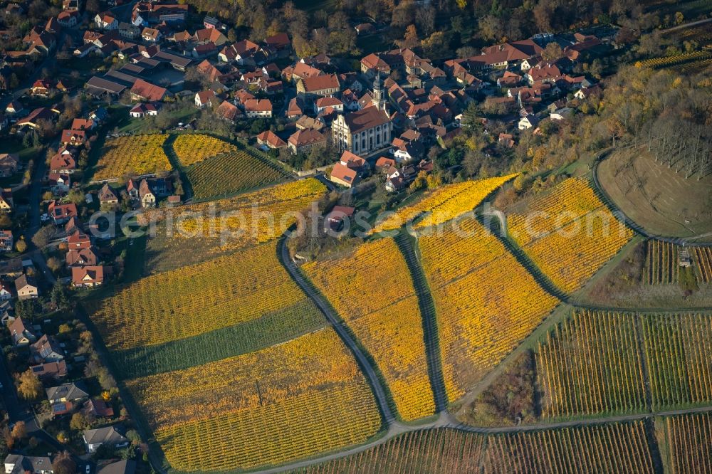 Aerial image Castell - Autumnal discolored vegetation view village on the edge of vineyards and wineries in the wine-growing area in Castell in the state Bavaria, Germany