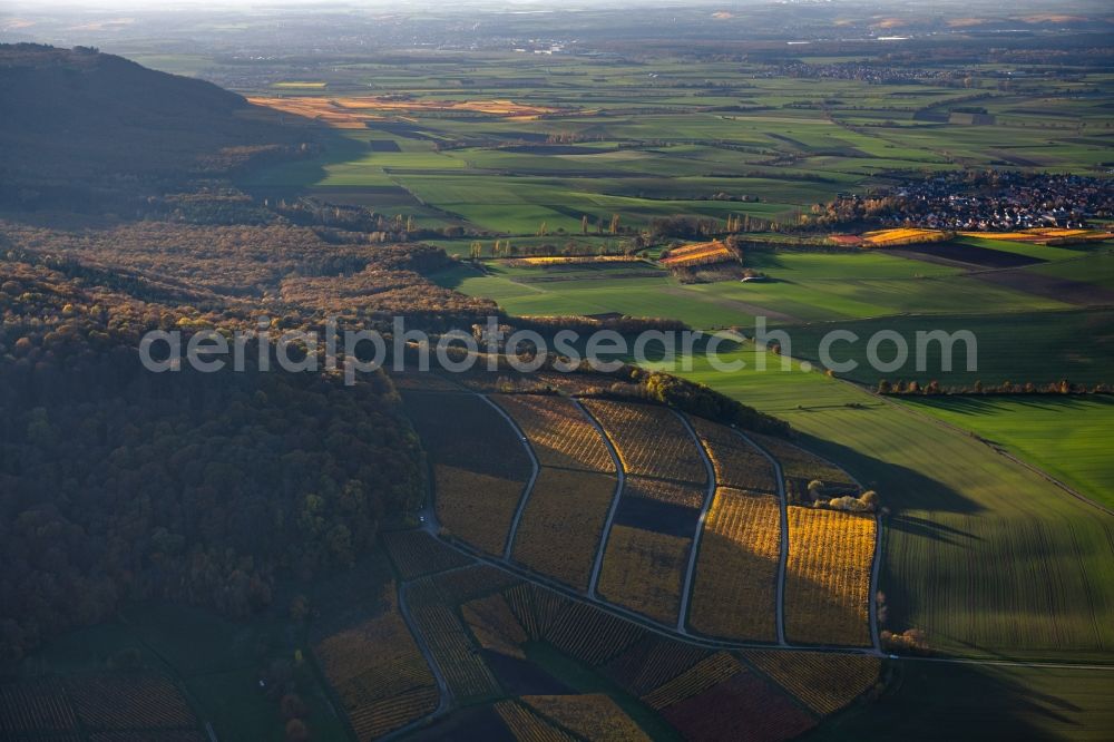 Aerial photograph Castell - Autumnal discolored vegetation view village on the edge of vineyards and wineries in the wine-growing area in Castell in the state Bavaria, Germany