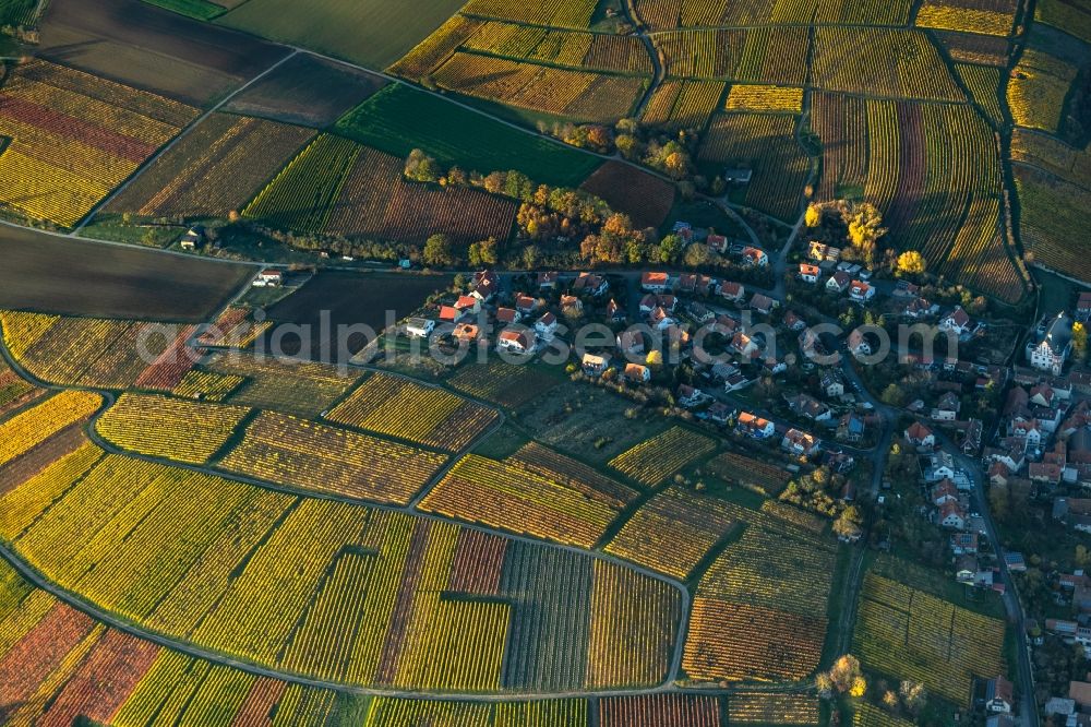 Aerial photograph Mainstockheim - Autumnal discolored vegetation view on the edge of vineyards and wineries in the wine-growing area in Mainstockheim in the state Bavaria, Germany