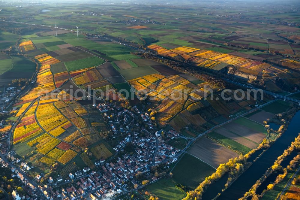 Aerial image Mainstockheim - Autumnal discolored vegetation view on the edge of vineyards and wineries in the wine-growing area in Mainstockheim in the state Bavaria, Germany