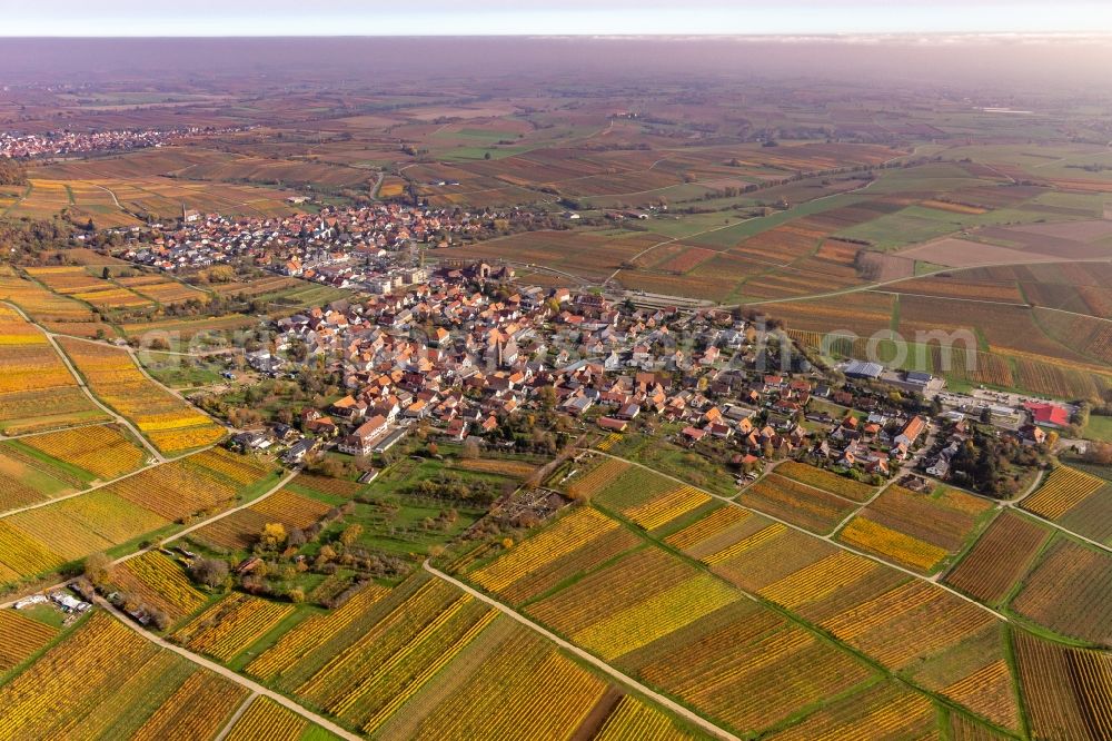 Aerial photograph Schweigen - Autumnal discolored vegetation view village on the edge of vineyards and wineries in the wine-growing area in Schweigen in the state Rhineland-Palatinate, Germany