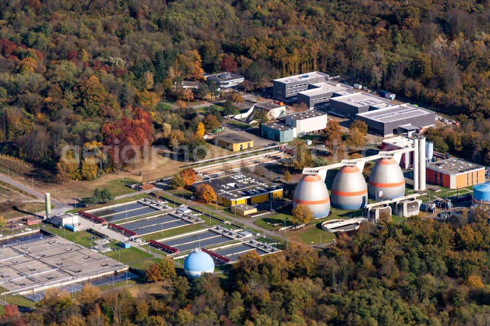 Forchheim from above - Autumnal discolored vegetation view Sewage treatment basins and purification stages in Forchheim in the state Baden-Wurttemberg, Germany