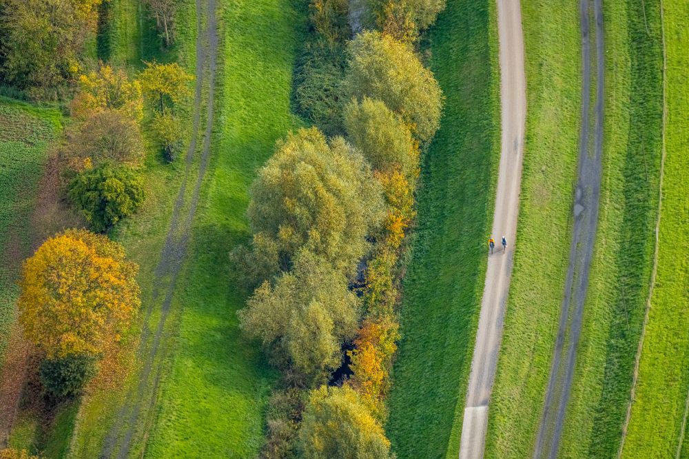 Aerial photograph Bergkamen - Autumnal discolored vegetation view route of the cycle path along the Seseke river in the district Altenmethlerheide in Bergkamen at Ruhrgebiet in the state North Rhine-Westphalia, Germany