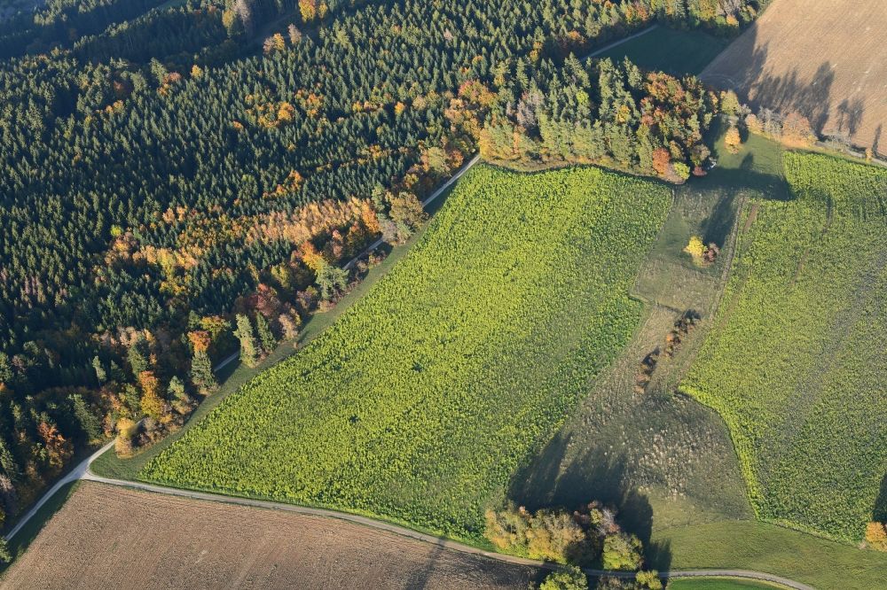 Aerial photograph Stühlingen - Autumnal discolored vegetation view field landscape in Stuehlingen in the state Baden-Wurttemberg, Germany