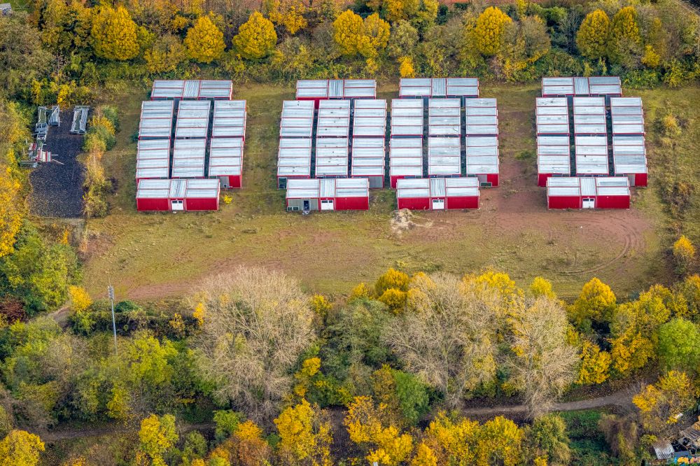 Düsseldorf from above - Autumnal discolored vegetation view container settlement as temporary shelter and reception center for refugees on street Marler Strasse in the district Rath in Duesseldorf at Ruhrgebiet in the state North Rhine-Westphalia, Germany