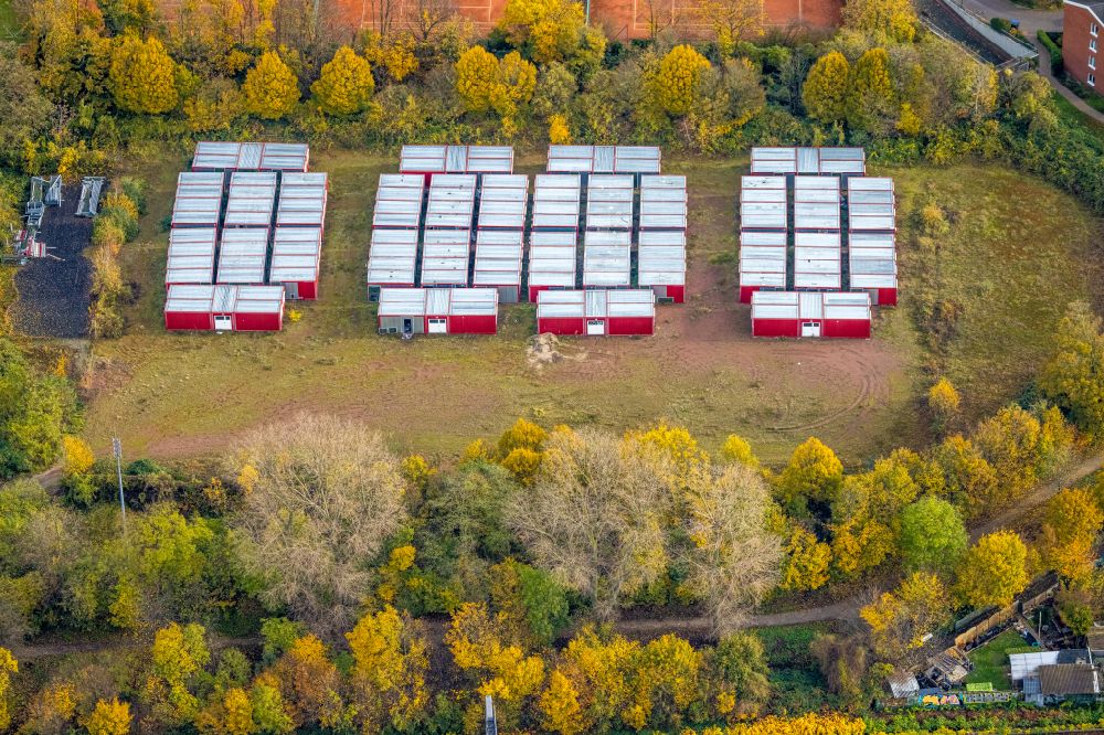 Düsseldorf from the bird's eye view: Autumnal discolored vegetation view container settlement as temporary shelter and reception center for refugees on street Marler Strasse in the district Rath in Duesseldorf at Ruhrgebiet in the state North Rhine-Westphalia, Germany