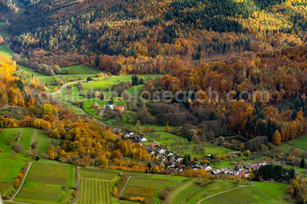 Aerial image Herbolzheim - Autumnal discolored vegetation view forest areas in of Bleichtal in Herbolzheim in the state Baden-Wuerttemberg, Germany