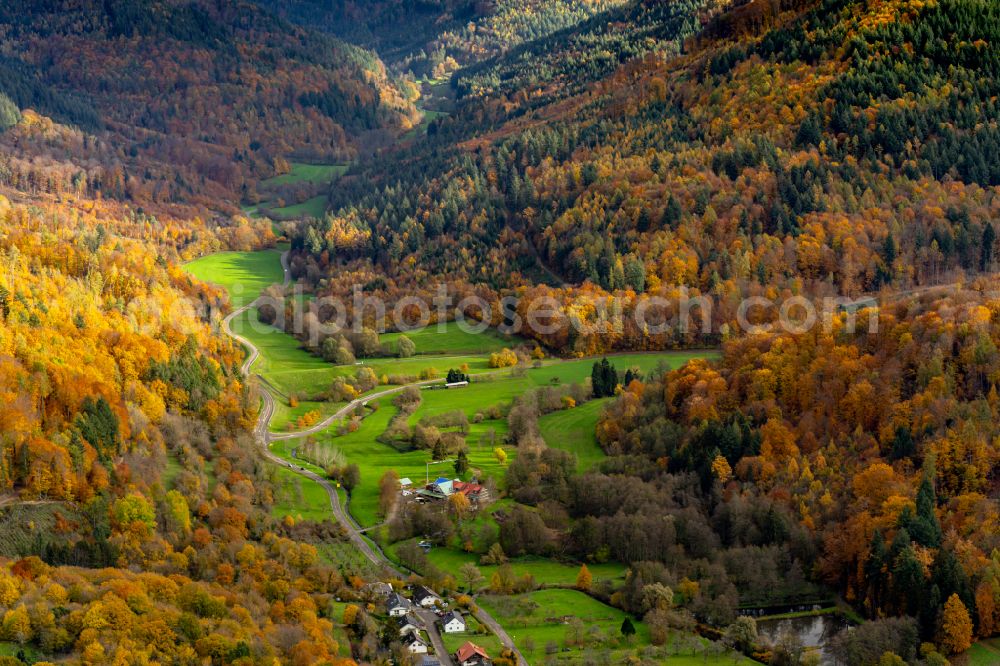 Aerial photograph Herbolzheim - Autumnal discolored vegetation view forest areas in of Bleichtal in Herbolzheim in the state Baden-Wuerttemberg, Germany