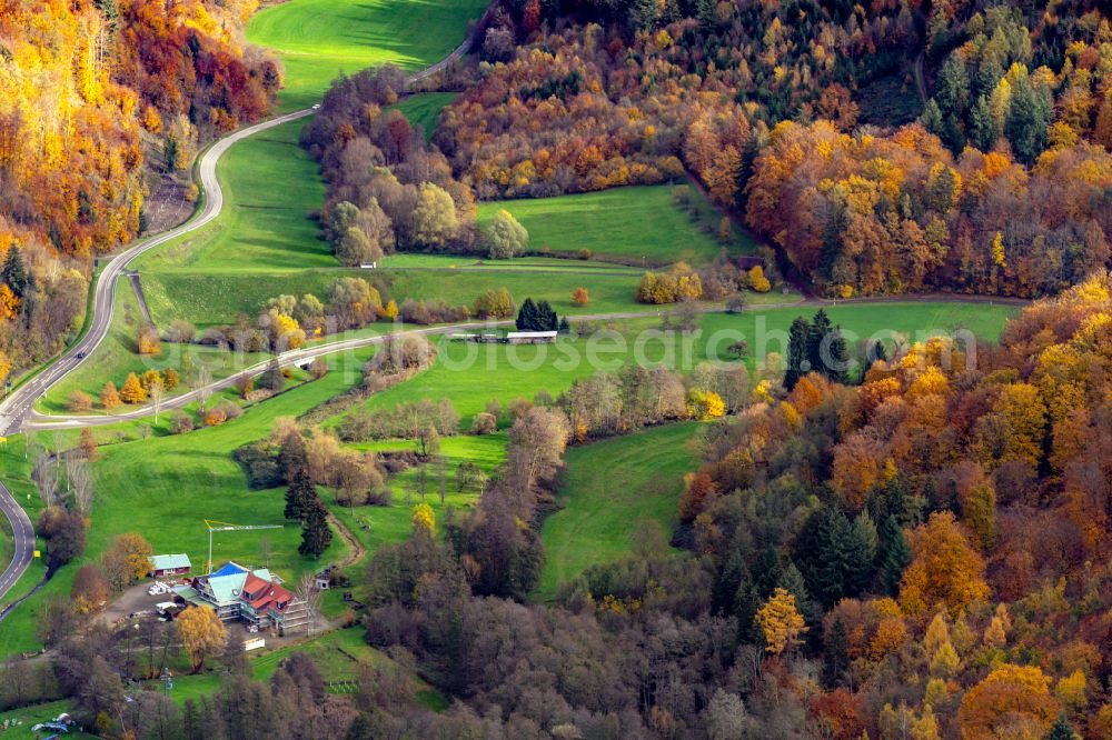 Herbolzheim from above - Autumnal discolored vegetation view forest areas in of Bleichtal in Herbolzheim in the state Baden-Wuerttemberg, Germany