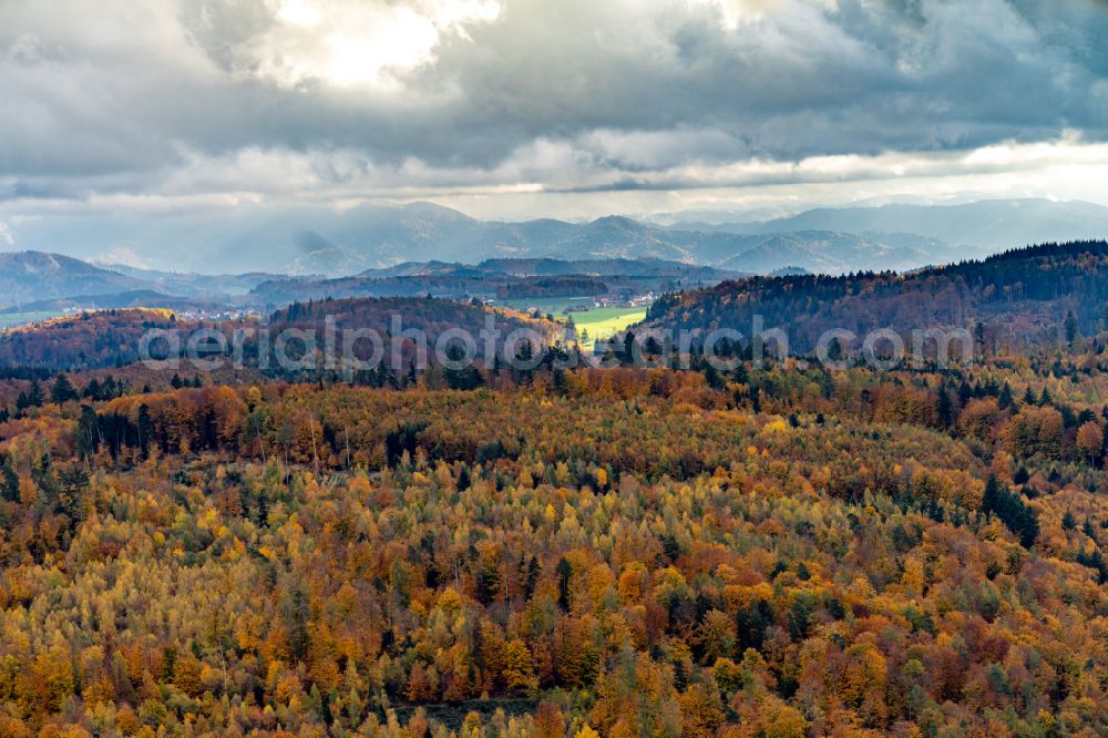 Herbolzheim from the bird's eye view: Autumnal discolored vegetation view forest areas in of Bleichtal in Herbolzheim in the state Baden-Wuerttemberg, Germany