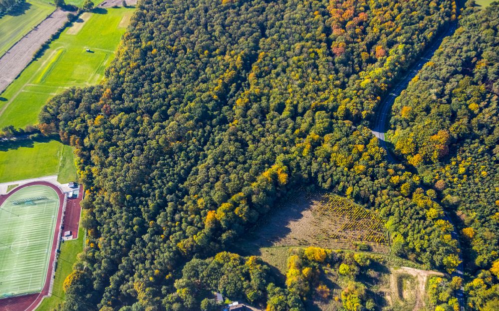 Aerial image Kamp-Lintfort - Autumnal discolored vegetation view forest areas in on street Rheurdter Strasse in Kamp-Lintfort at Ruhrgebiet in the state North Rhine-Westphalia, Germany