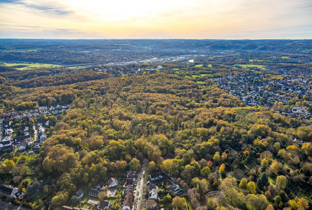 Aerial photograph Bochum - Autumnal discolored vegetation view forest areas in Weitmarer Holz on street Blankensteiner Strasse in the district Weitmar in Bochum at Ruhrgebiet in the state North Rhine-Westphalia, Germany