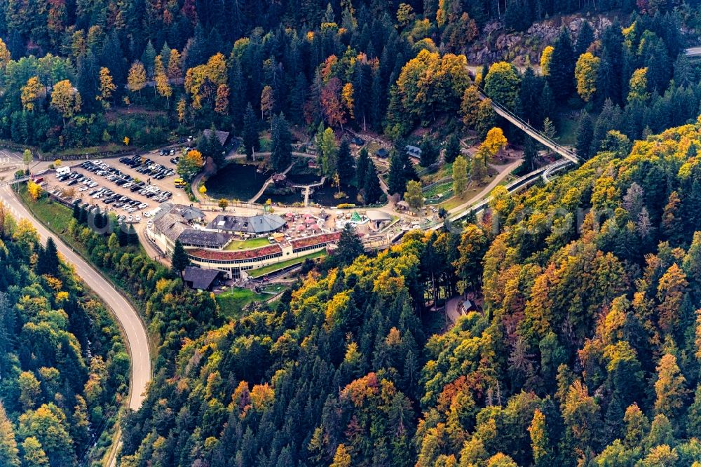 Aerial photograph Oberried - Autumnal discolored vegetation view sport- and Leisure Centre of toboggan run steinwasen Park in Oberried in the state Baden-Wurttemberg, Germany