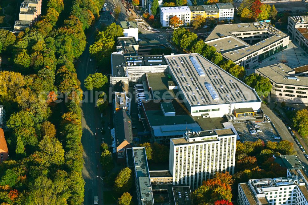 Aerial photograph Hamburg - Autumn colored vegetation view of the building of the wholesale center of Peter Jensen GmbH on Anckelmannstrasse in the district of Borgfelde in the district of Borgfelde in Hamburg, Germany