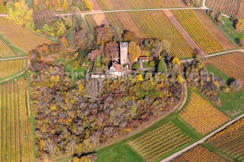 Wissembourg from the bird's eye view: Autumnal discolored vegetation view of buildings and parks at the castle Chateau Saint Paul in Wissembourg in Grand Est, France