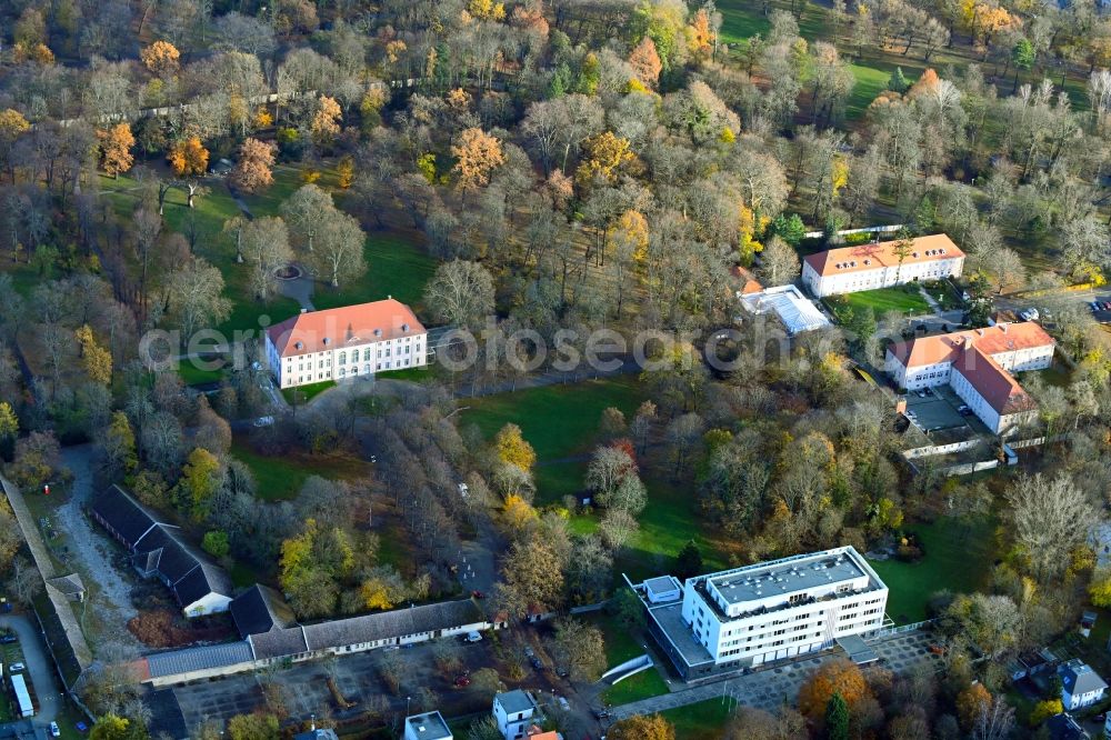 Aerial image Berlin - Autumnal discolored vegetation view building complex in the park of the castle Schoenhausen in the district Niederschoenhausen in Berlin, Germany