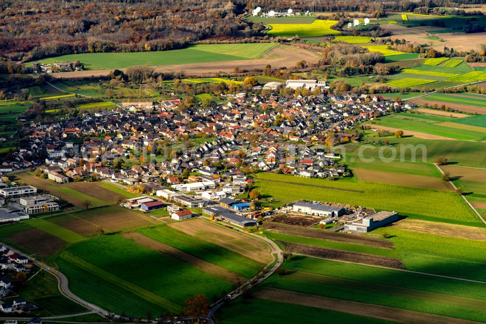 Niederhausen from above - Autumnal discolored vegetation view industrial estate and company settlement in Niederhausen in the state Baden-Wurttemberg, Germany