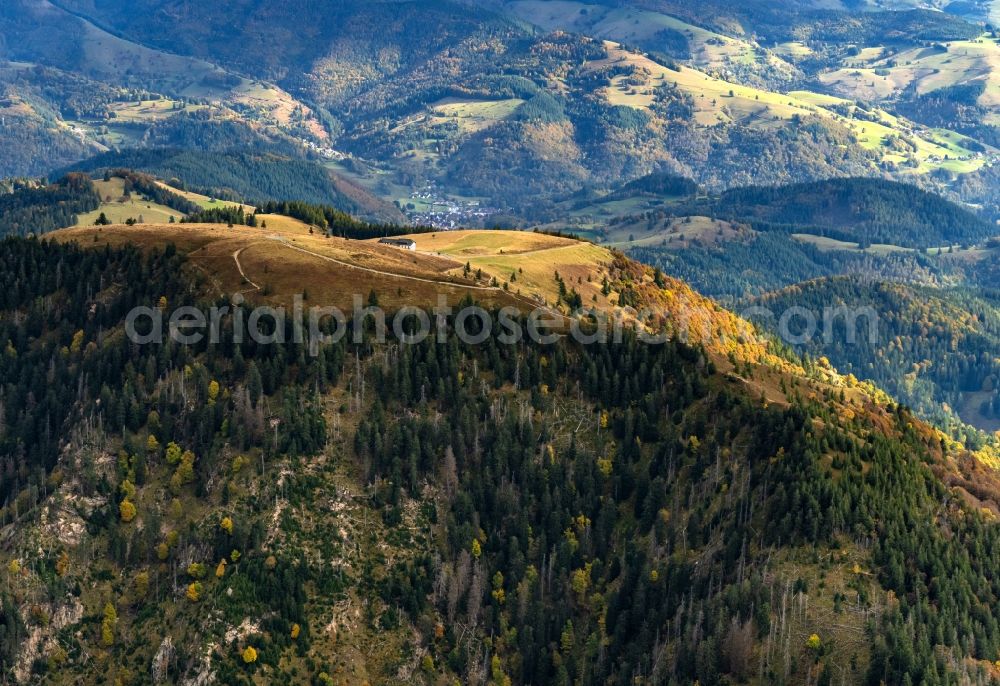 Schönenberg from above - Autumnal discolored vegetation view rocky and mountainous landscape of Belchen in Schoenenberg in the state Baden-Wurttemberg, Germany