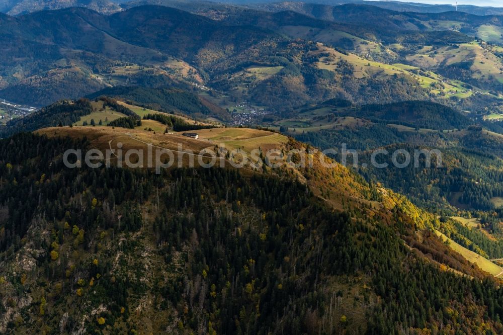 Schönenberg from the bird's eye view: Autumnal discolored vegetation view rocky and mountainous landscape of Belchen in Schoenenberg in the state Baden-Wurttemberg, Germany