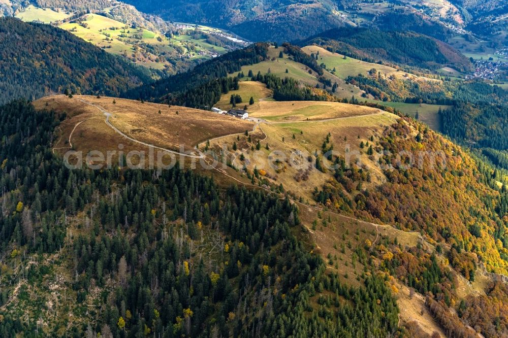 Aerial photograph Schönenberg - Autumnal discolored vegetation view rocky and mountainous landscape of Belchen in Schoenenberg in the state Baden-Wurttemberg, Germany