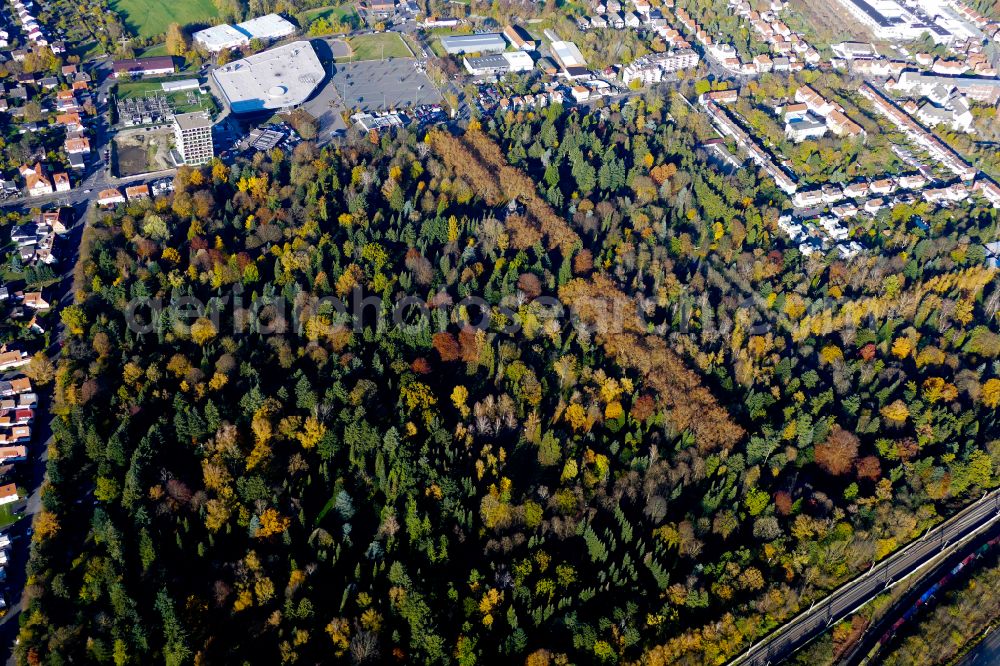 Göttingen from the bird's eye view: Autumnal discolored vegetation view grave rows on the grounds of the cemetery in Goettingen in the state Lower Saxony, Germany