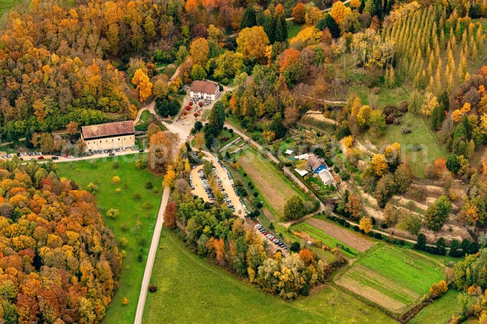 Ihringen from above - Autumnal discolored vegetation view building and manor house of the farmhouse in Ihringen in the state Baden-Wurttemberg, Germany