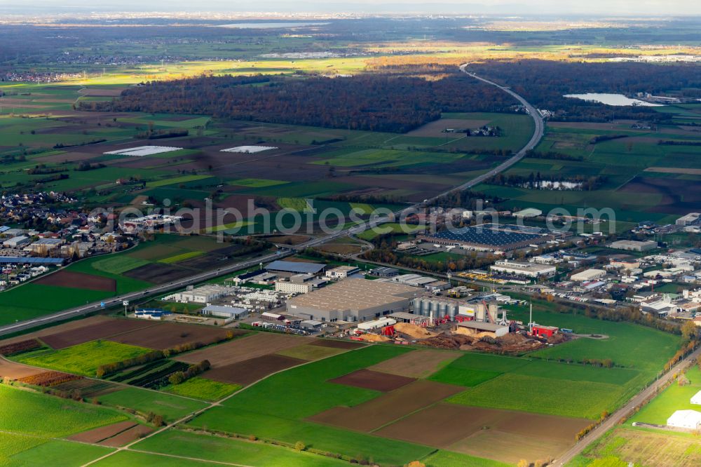 Ettenheim from above - Autumnal discolored vegetation view industrial and commercial area Dyn A5 in Ettenheim in the state Baden-Wuerttemberg, Germany