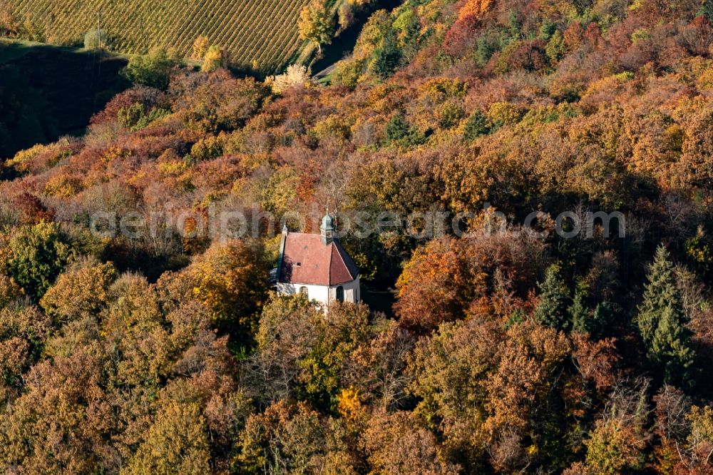 Aerial image Endingen am Kaiserstuhl - Autumnal discolored vegetation view church in the district Koenigschaffhausen in Vogtsburg im Kaiserstuhl in the state Baden-Wuerttemberg