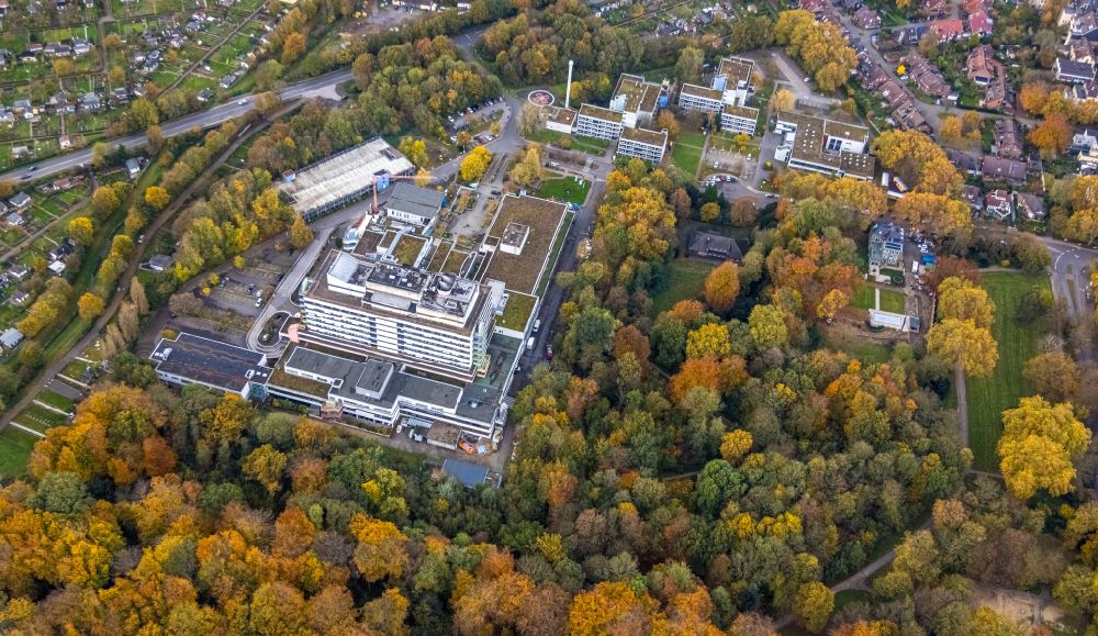 Aerial image Gelsenkirchen - Autumnal discolored vegetation view hospital grounds of the Clinic Marienhospital on Virchowstrasse in the district Ueckendorf in Gelsenkirchen at Ruhrgebiet in the state North Rhine-Westphalia, Germany