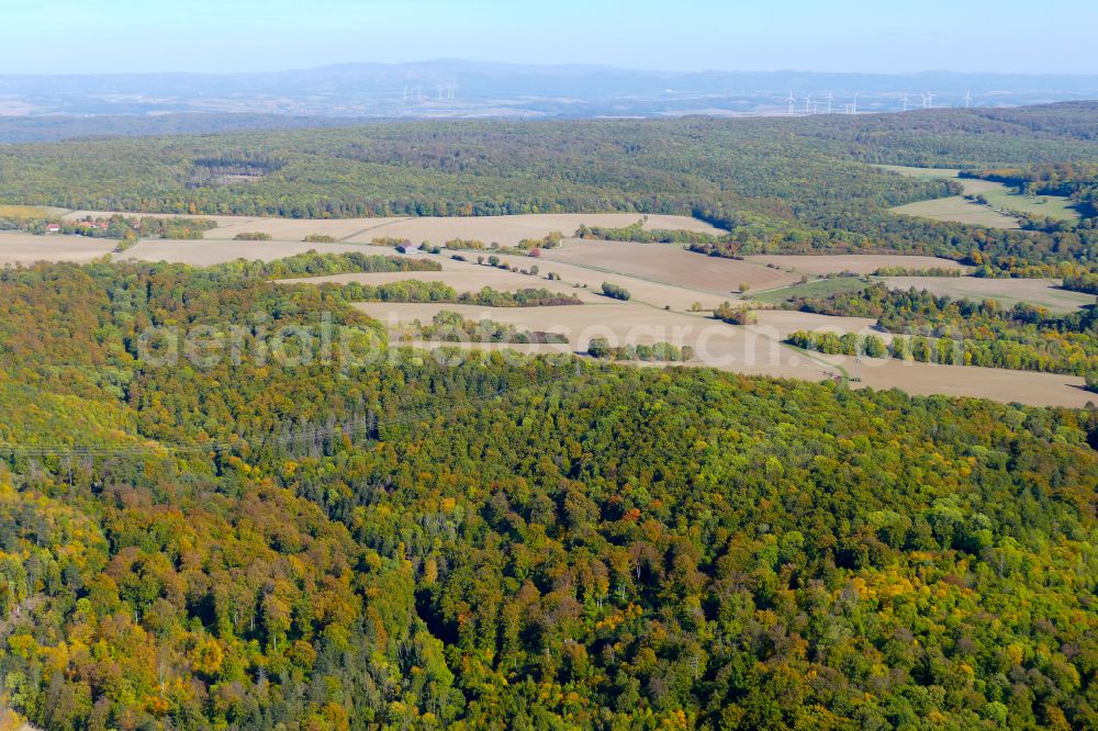 Göttingen from above - Autumnal discolored vegetation view treetops in a forest area in Goettingen in the state Lower Saxony, Germany