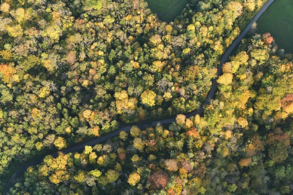 Aerial photograph Blumberg - Autumnal discolored vegetation view treetops in a forest area on Kreisstrasse K5742 in the district Fuetzen in Blumberg in the state Baden-Wurttemberg, Germany