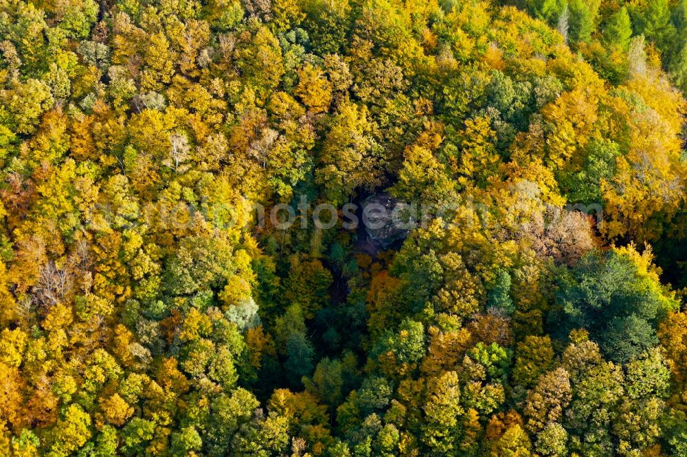Aerial image Lindewerra - Autumnal discolored vegetation view treetops in a forest area in Lindewerra in the state Thuringia, Germany