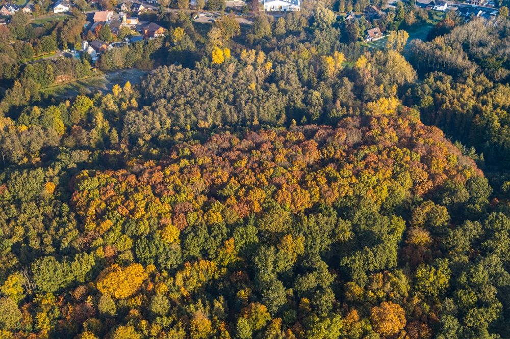 Overhetfeld from above - Autumnal discolored vegetation view treetops in a forest area in Overhetfeld in the state North Rhine-Westphalia, Germany