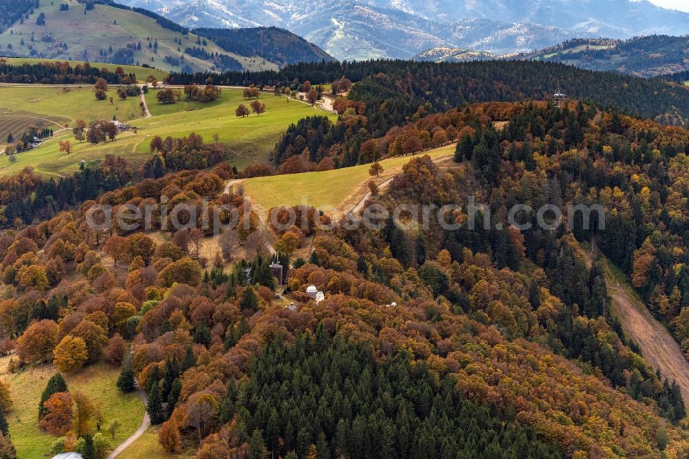 Oberried from the bird's eye view: Autumnal discolored vegetation view treetops in a forest area on Schauinsland in Oberried in the state Baden-Wuerttemberg, Germany