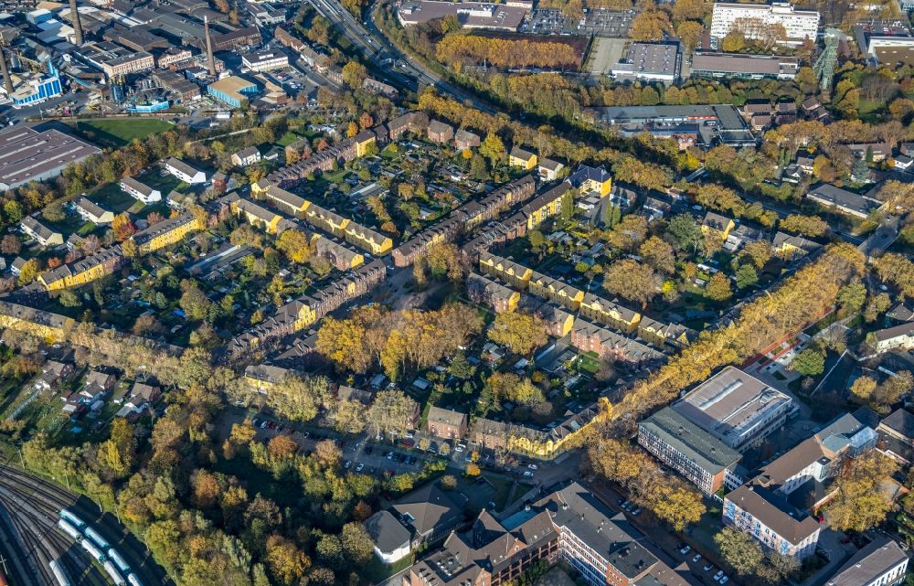 Aerial image Duisburg - Autumnal discolored vegetation view residential area of a multi-family house settlement An of Abtei - Bremenstrasse in the district Alt-Hamborn in Duisburg in the state North Rhine-Westphalia, Germany