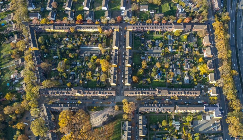 Duisburg from the bird's eye view: Autumnal discolored vegetation view residential area of a multi-family house settlement An of Abtei - Bremenstrasse in the district Alt-Hamborn in Duisburg in the state North Rhine-Westphalia, Germany