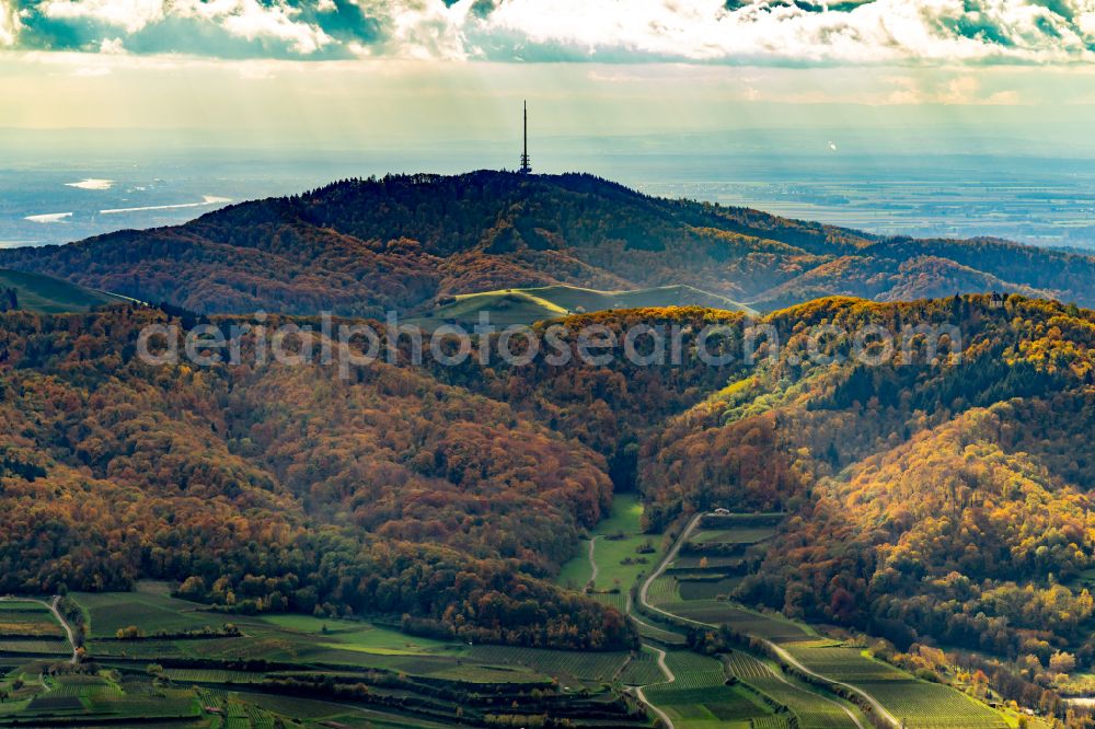 Endingen am Kaiserstuhl from above - Autumnal discolored vegetation view forest and mountain landscape of the mid-mountain range of Kaiserstuhl in Endingen am Kaiserstuhl in the state Baden-Wuerttemberg, Germany
