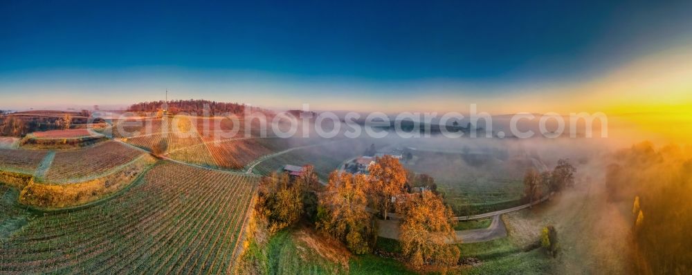 Ettenheim from above - Autumnal discolored vegetation view village on the edge of vineyards and wineries in the wine-growing area in Ettenheim in the state Baden-Wuerttemberg, Germany