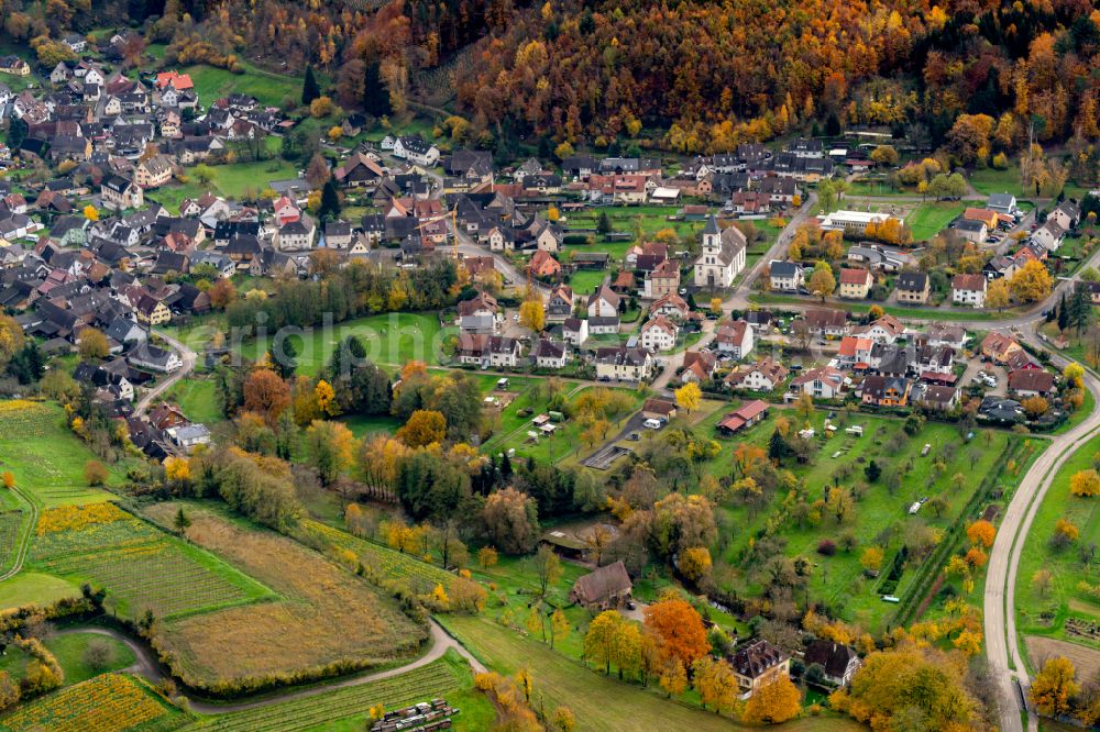 Bleichheim from above - Autumnal discolored vegetation view town View of the streets and houses of the residential areas in Bleichheim in the state Baden-Wuerttemberg, Germany