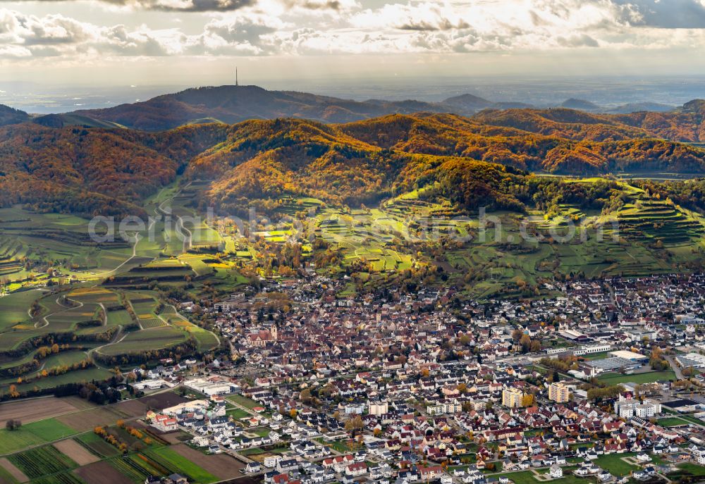Endingen am Kaiserstuhl from the bird's eye view: Autumnal discolored vegetation view town View of the streets and houses of the residential areas in Endingen am Kaiserstuhl in the state Baden-Wuerttemberg, Germany