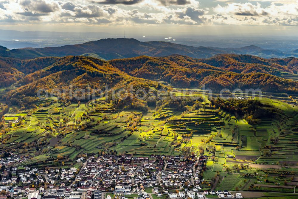 Aerial image Endingen am Kaiserstuhl - Autumnal discolored vegetation view town View of the streets and houses of the residential areas in Endingen am Kaiserstuhl in the state Baden-Wuerttemberg, Germany