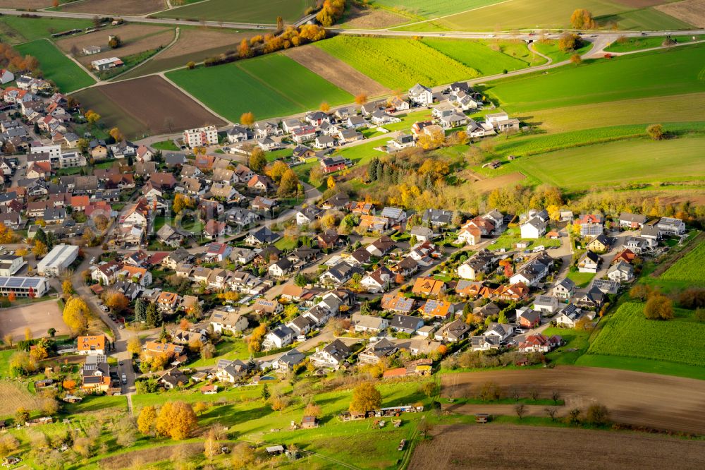 Aerial image Hofweier - Autumnal discolored vegetation view town View of the streets and houses of the residential areas in Hofweier in the state Baden-Wuerttemberg, Germany