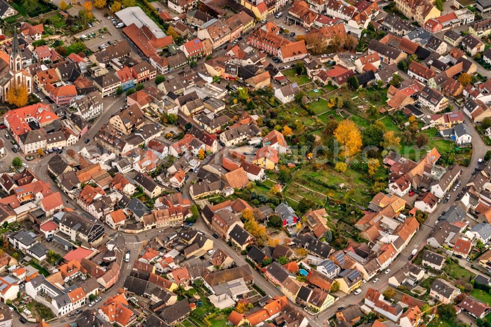 Aerial photograph Ihringen - Autumnal discolored vegetation view town View of the streets and houses of the residential areas in Ihringen in the state Baden-Wurttemberg, Germany