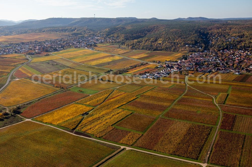 Bobenheim am Berg from the bird's eye view: Autumnal discolored vegetation view of the rhine valley landscape surrounded by Palatinian mountains in Bobenheim am Berg in the state Rhineland-Palatinate, Germany