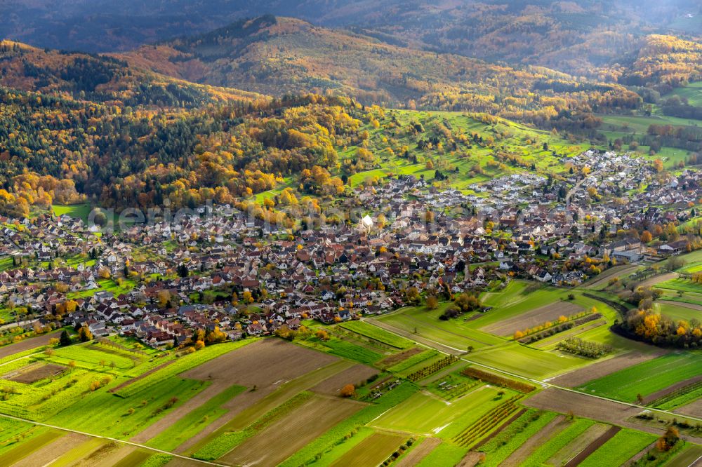 Aerial photograph Zunsweier - Autumnal discolored vegetation view town View of the streets and houses of the residential areas in Zunsweier in the state Baden-Wuerttemberg, Germany