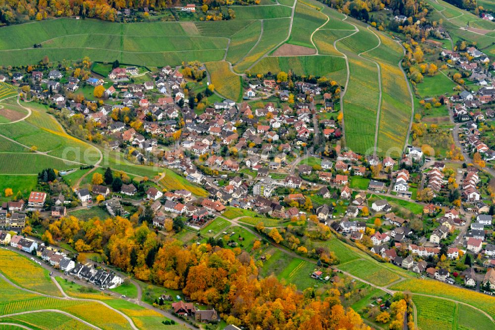 Aerial image Offenburg - Autumnal discolored vegetation view town View between wine yards of Zell-Weierbach in Offenburg in the state Baden-Wuerttemberg, Germany